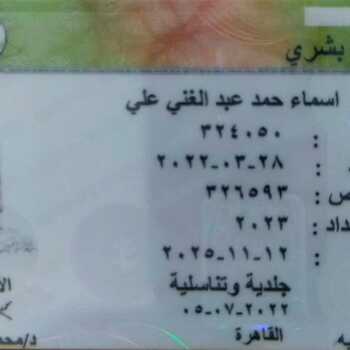 Asmaa Hamad abdelghany