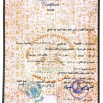 Yomna Adel Saeed Abdelkhaliq