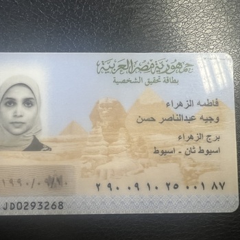 Fatma Alzahraa Wageh Abdalnaser