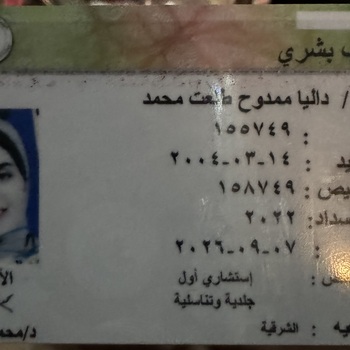 Dalia Mamdouh El Attar