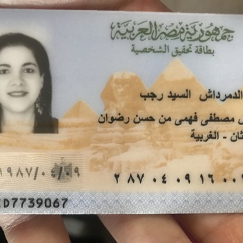 Amira Ahmed Eldemerdash Elsayed Ragab