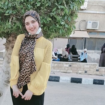 Alaa Mahmoud Abdlhamed Elminyawi