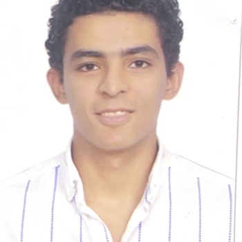 Moustafa Elsaeed