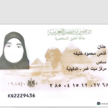 Hanan Fathy Mahmoud