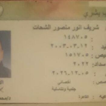 Sherif Anwer Mansour El Shahat