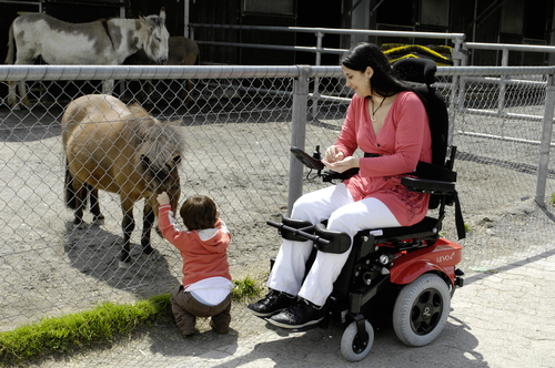 LEVO Combi et Combi Jr