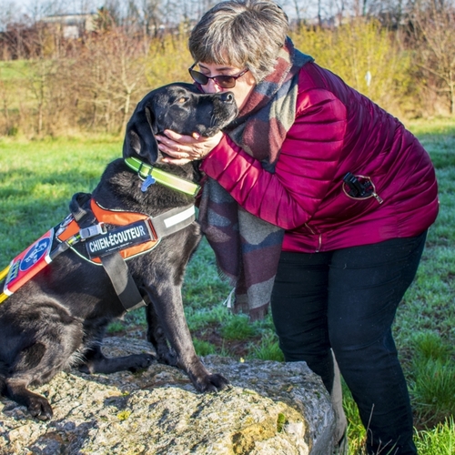 Le Chien Guide Écouteur
