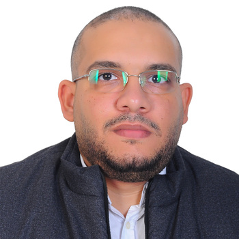Mahmoud Mohamed Alhefnawey