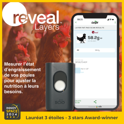 Reveal layers