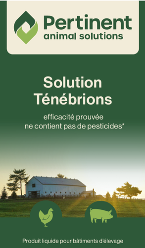 Eco-solution ténébrions