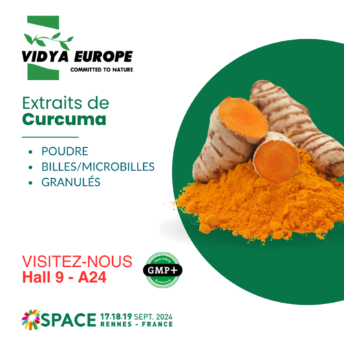 Extraits de Curcuma