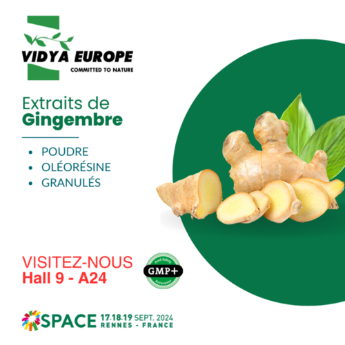 Extraits de Gingembre