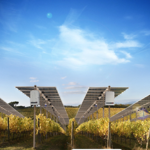 SolarEdge Agri-PV solutions