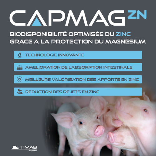 CAPMAG® Zn - Biodisponibilité optimisée du zinc grâce à la protection du magnésium
