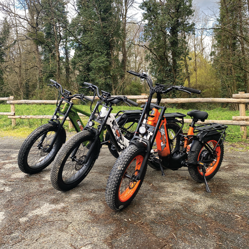 Vélos électriques agricycles