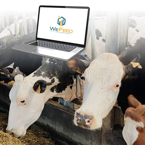 WEFEED RUMINANT