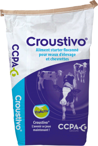 Croustivo®: Tasty starter feed for heifers