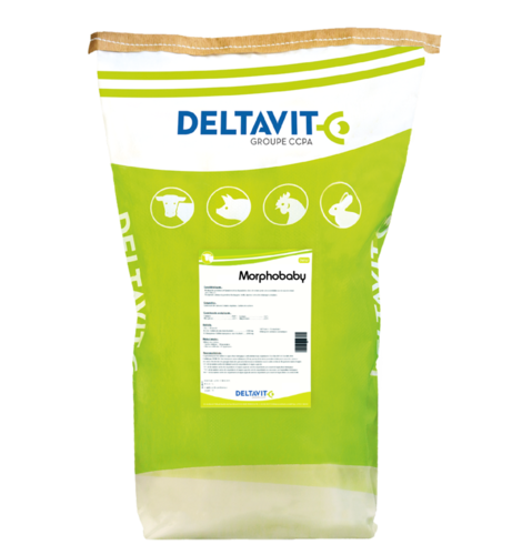 Morphostar® : ensures the early development of renewal heifers