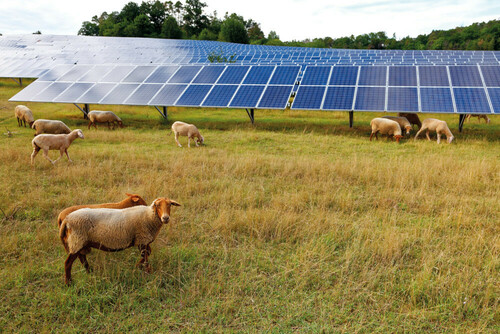 Agrivoltaïsme