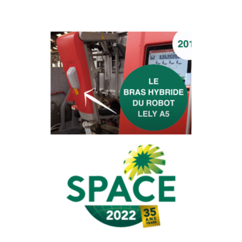 2022-IS-Lely