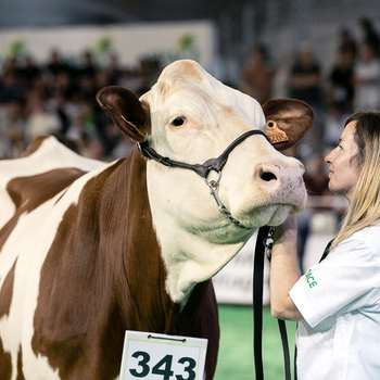 2024-VIDEO-Concours Interrégional Montbéliard