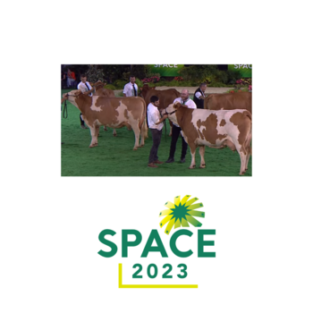 2023-VIDEO-Challenge Européen Simmental