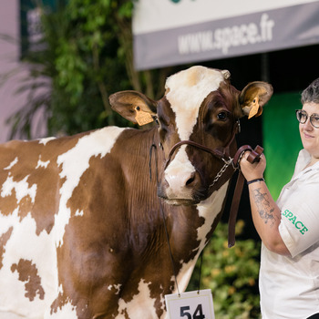 2024-VIDEO-Concours Interrégional Pie Rouge