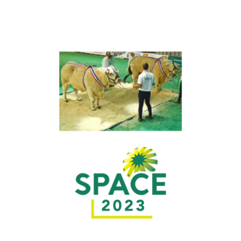 2023-VIDEO-Concours National Charolais