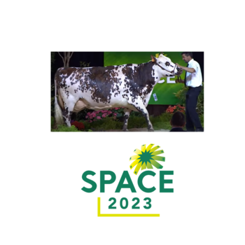 2023-VIDEO-Concours Interregional Normand