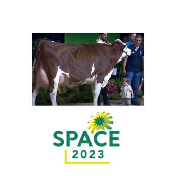 2023-VIDEO-Concours Interregional Montbeliard