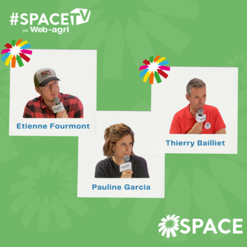 2024-SPACE TV-Youtuber, Tiktoker… Quelle rémunération espérer de l’animation des réseaux sociaux ?