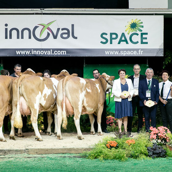2024-VIDEO-Concours Interrégional Simmental