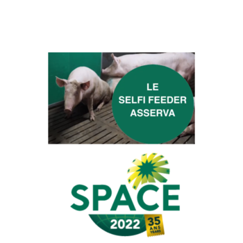 2022-IS-Asserva