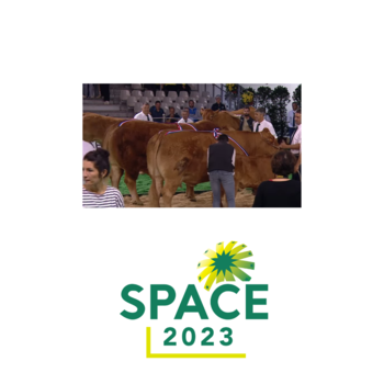 2023-VIDEO-Concours Interregional Limousin