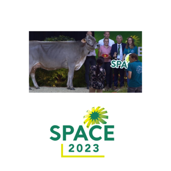 2023-VIDEO-Concours Interregional Brun