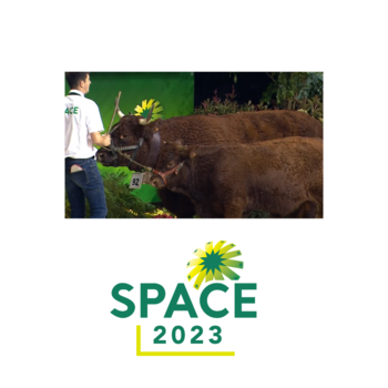 2023-VIDEO-Concours Interregional Salers