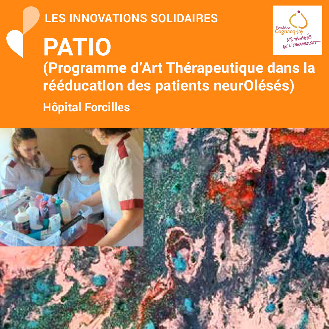 PATIO (Programme d’Art Thérapeutique dans la rééducatIon des patients neurOlésés)