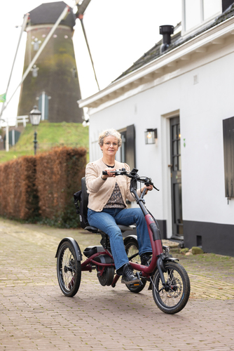 Vélo adapté - Easy Rider Compact