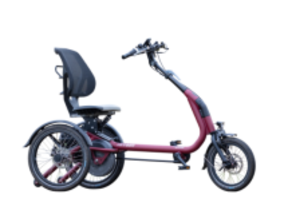 TRICYCLE CONFORT