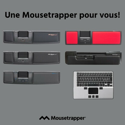 Souris centrale Mousetrapper