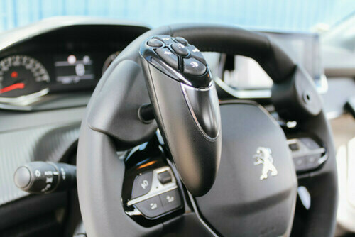 LEHMDIS Boule ergonomique multifonctions