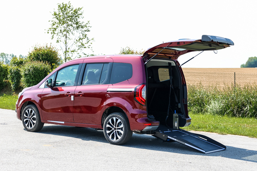 Gamme de véhicules décaissés TPMR disponibles à la vente