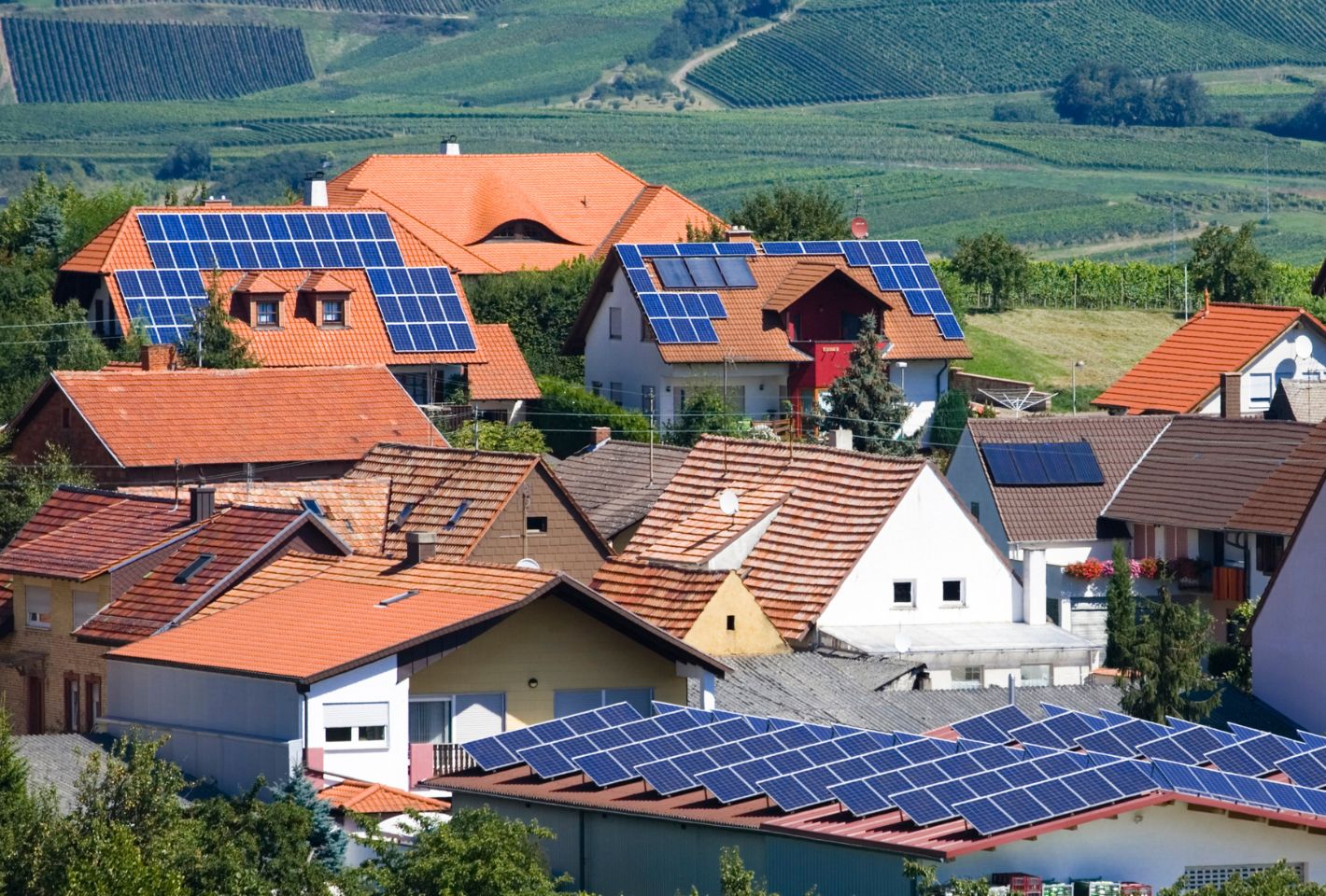 La franchise dans le secteur de l’amélioration de l’habitat : Un marché en pleine croissance