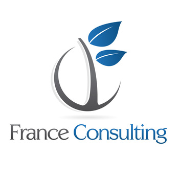 France CONSULTING André Combe