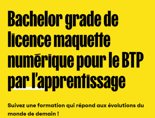 PROGRAMME BACHELORS (BAC+3)