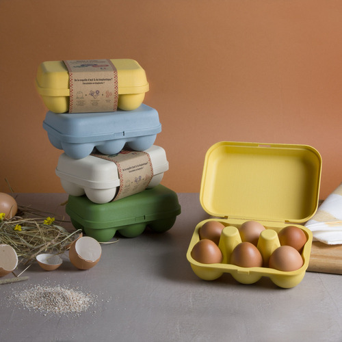 Boîte à œufs en coquille d’œufs
