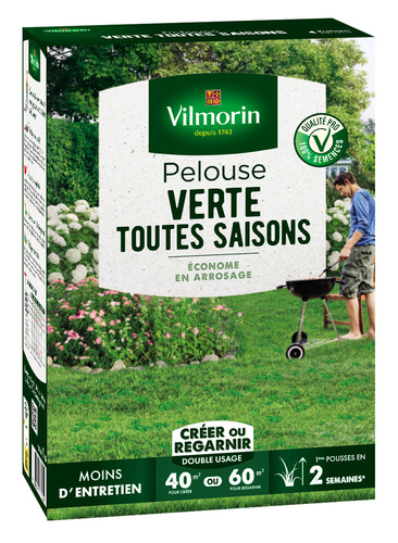 Pelouse Verte Toutes Saisons