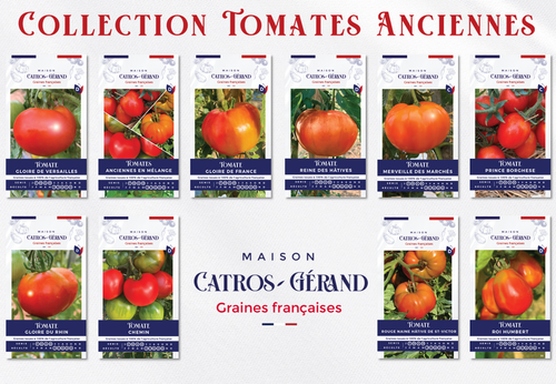 Collection Tomates anciennes Maison Catros-Gérand