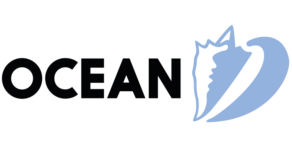 Ocean™ optical simulation software