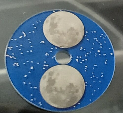 Disques de phases de lune en croissance galvanique